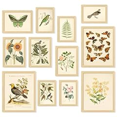 Decor vintage botanical for sale  Delivered anywhere in USA 