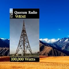 Quorum radio usato  Spedito ovunque in Italia 