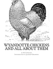 Wyandotte chickens chicken for sale  Delivered anywhere in USA 
