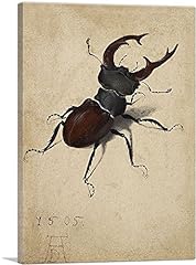 Artcanvas stag beetle for sale  Delivered anywhere in USA 