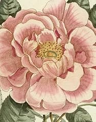 John derian picture for sale  Delivered anywhere in USA 
