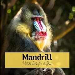 Mandrill picture book for sale  Delivered anywhere in UK