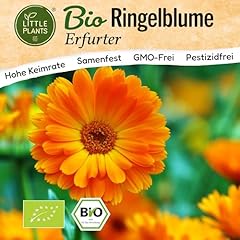 Little plants bio gebraucht kaufen  Wird an jeden Ort in Deutschland