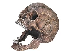 Nobby skull aquarium for sale  Delivered anywhere in UK