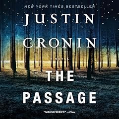 The passage novel gebraucht kaufen  Wird an jeden Ort in Deutschland