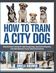 How train city usato  Spedito ovunque in Italia 