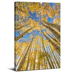Aspen tree canvas for sale  Delivered anywhere in USA 