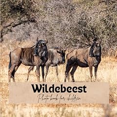 Wildebeest photo book for sale  Delivered anywhere in UK