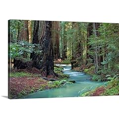 Canvas demand redwood for sale  Delivered anywhere in USA 