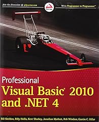 Professional visual basic usato  Spedito ovunque in Italia 