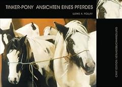 Tinker pony ansichten gebraucht kaufen  Wird an jeden Ort in Deutschland