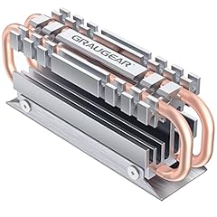 Graugear 2280 nvme d'occasion  Livré partout en France
