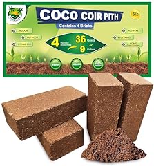 Modellor premium coco for sale  Delivered anywhere in USA 