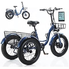 Hplndas triciclo elettrico usato  Spedito ovunque in Italia 