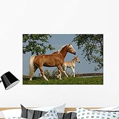 Wallmonkeys fot 7618875 for sale  Delivered anywhere in USA 