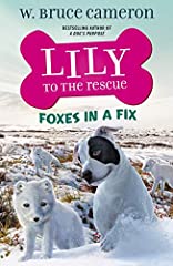 Lily rescue foxes for sale  Delivered anywhere in USA 