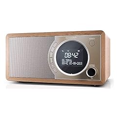 Sharp 450 radio usato  Spedito ovunque in Italia 