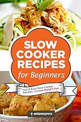Slow cooker recipes usato  Spedito ovunque in Italia 