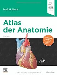 Atlas anatomie deutsche gebraucht kaufen  Wird an jeden Ort in Deutschland