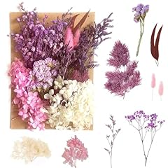 Natural dried flowers for sale  Delivered anywhere in UK