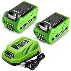 2pack 40v 6000mah for sale  Delivered anywhere in USA 