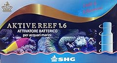 Aktive reef 1.6 usato  Spedito ovunque in Italia 