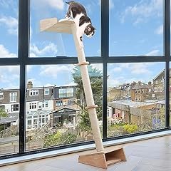 Cat window climbing for sale  Delivered anywhere in USA 