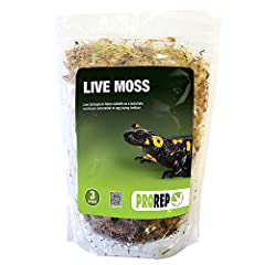 Prorep live moss for sale  Delivered anywhere in UK