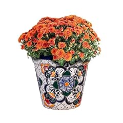 Evergreen garden talavera for sale  Delivered anywhere in USA 