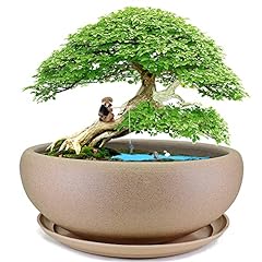 MUZHI 10” Round Large Ceramic Bonsai Bowl Planter，Clay for sale  Delivered anywhere in USA 