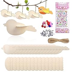 16pcs bricolage oiseaux d'occasion  Livré partout en France