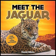 Meet jaguar fun for sale  Delivered anywhere in UK