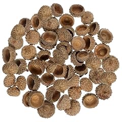 Sewacc pack acorn for sale  Delivered anywhere in USA 