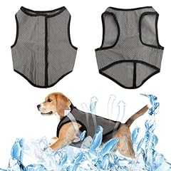 Dimensioni gilet rinfrescante usato  Spedito ovunque in Italia 