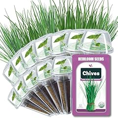 Chives seed pods for sale  Delivered anywhere in USA 