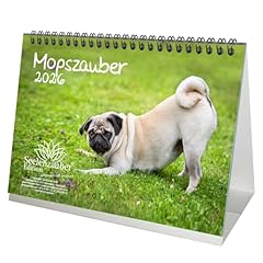 Mopszauber din tischkalender gebraucht kaufen  Wird an jeden Ort in Deutschland