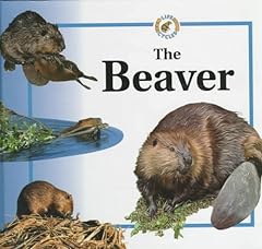 The beaver d'occasion  Livré partout en France