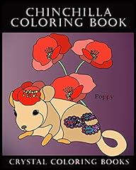 Chinchilla coloring book for sale  Delivered anywhere in UK