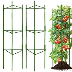 Moirsunt pack tomato for sale  Delivered anywhere in USA 