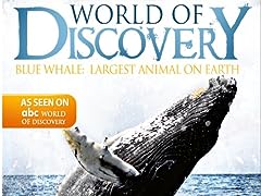 Discovery blue whale for sale  Delivered anywhere in USA 
