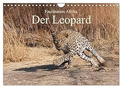 Faszination afrika leopard gebraucht kaufen  Wird an jeden Ort in Deutschland