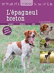 epagneul breton tricolore chiot d'occasion  Livré partout en France