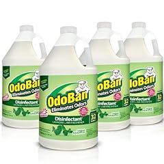 Odoban disinfectant concentrat for sale  Delivered anywhere in USA 
