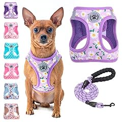 Beautyzoo step dog for sale  Delivered anywhere in USA 