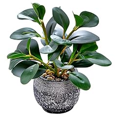 Alphaacc artificial plants for sale  Delivered anywhere in USA 