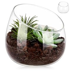 Toddmomy glass vase for sale  Delivered anywhere in UK