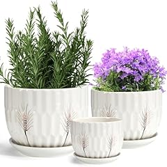 Laerjin ceramic plant for sale  Delivered anywhere in USA 