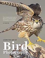 Learn art bird for sale  Delivered anywhere in USA 
