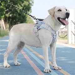 Imbracatura per cani usato  Spedito ovunque in Italia 