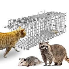 Kocaso live animal for sale  Delivered anywhere in USA 